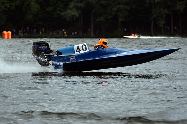 我们看到了 我们看到了