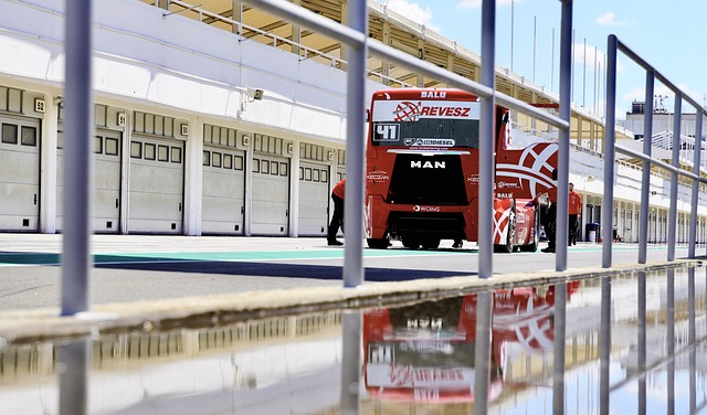 尽管灰熊球 尽管灰熊球