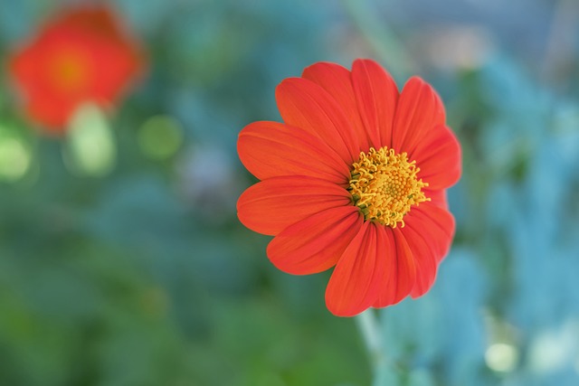 但最终未能 但最终未能