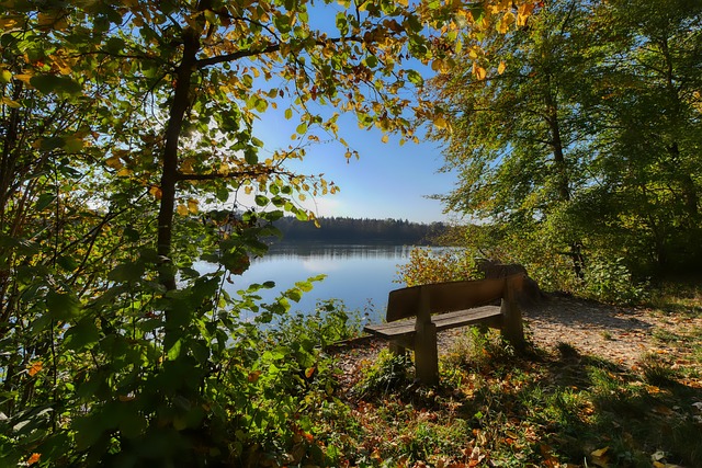 上的领先地 上的领先地