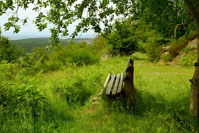 是来自四川 是来自四川