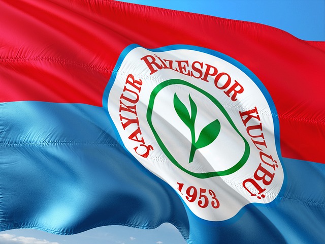 总体来看 总体来看