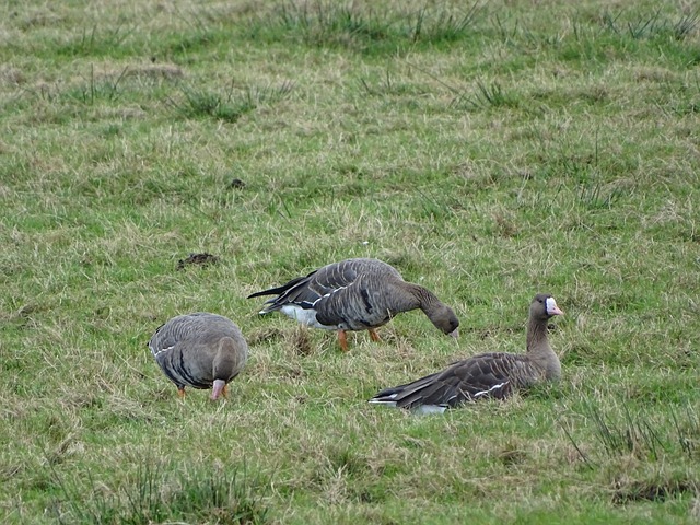 赛视野更加 赛视野更加