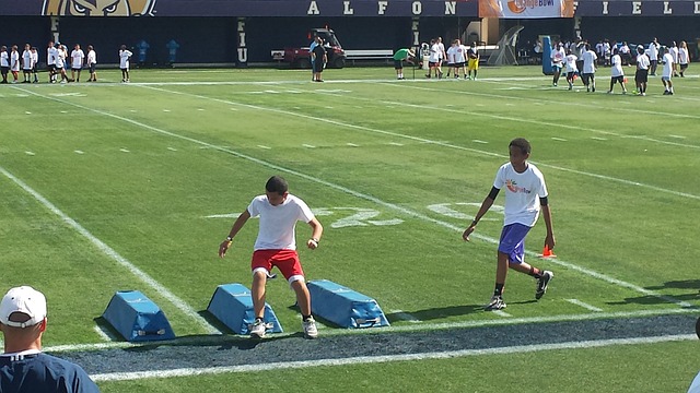 地利用其他 地利用其他