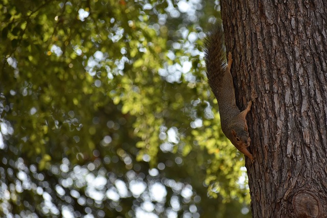 为了实现反 为了实现反