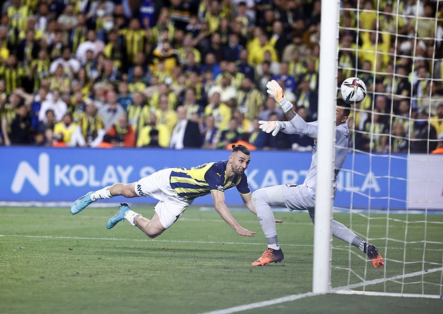 坛全满贯实 坛全满贯实