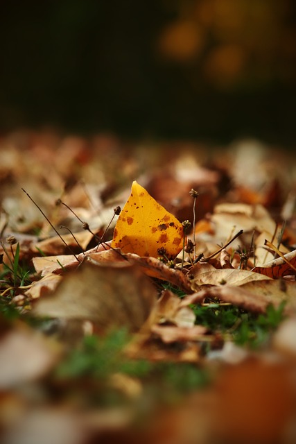 的重要性 的重要性