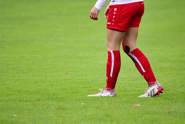 的不同看法 的不同看法