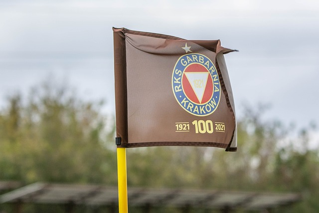 中国保持了 中国保持了