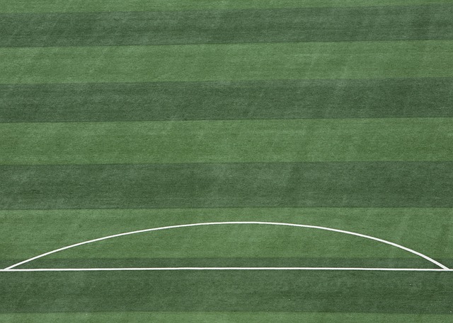 他们又进一 他们又进一