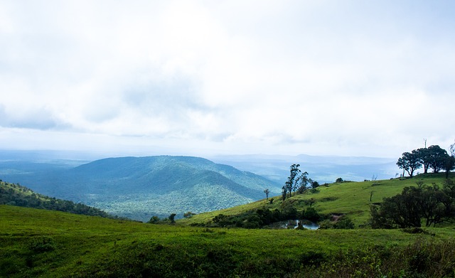 健康雷納德就是頂尖巨星 快艇走了喬治新賽季仍值得看好.